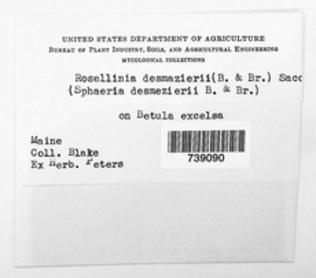 Rosellinia desmazieri image